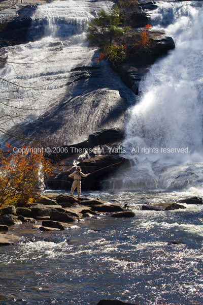 High Falls, NC