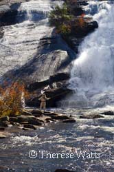 Fly Fisher - High Falls