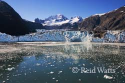 Johns Hopkins Inlet, Glacier Bay NP