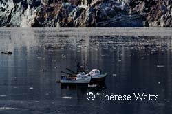 Boats in Johns Hopkins Inlet #2, Glacier Bay NP