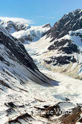 Topeka Glacier, Glacier Bay NP