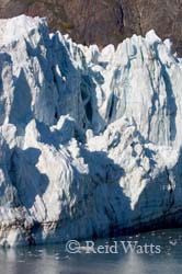 Glacier Bay NP