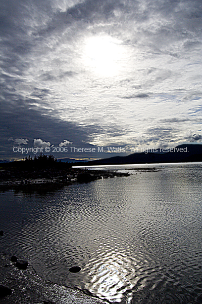 Mendenhall Lake #1