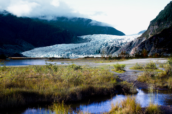 Panoramic View of Mendenhall Glacier