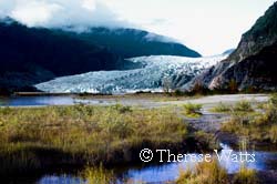 Panoramic View of Mendenhall Glacier