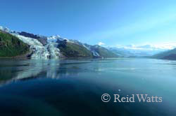 College Fjord - String of glaciers in Prince William Sound