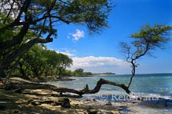 Hawaii Photo Gallery