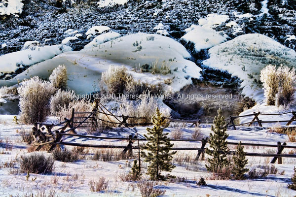 Grayling Creek - Yellowstone NPh