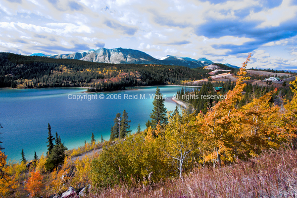 The Shores of Emerald Lake