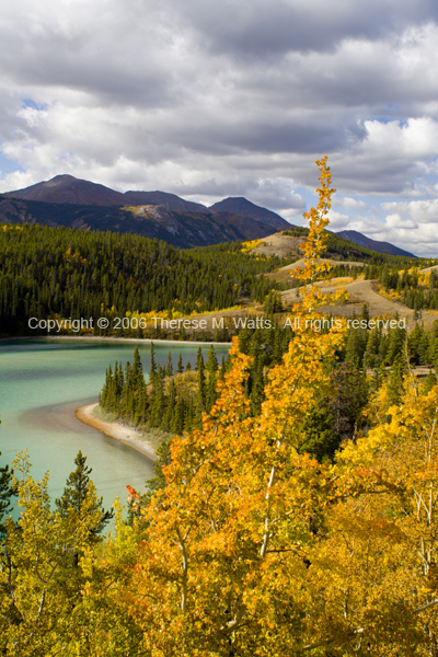 Gold on Emerald Lake