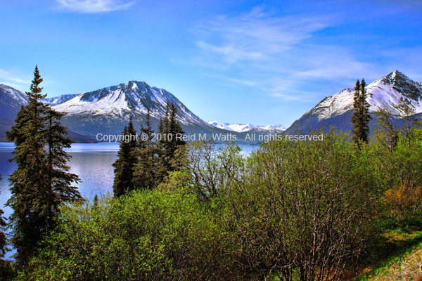 South Lake Tutshi - Yukon