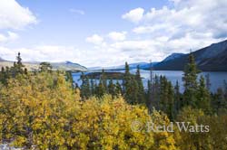 View of Bove Island, Yukon