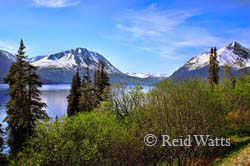 South Lake Tutshi