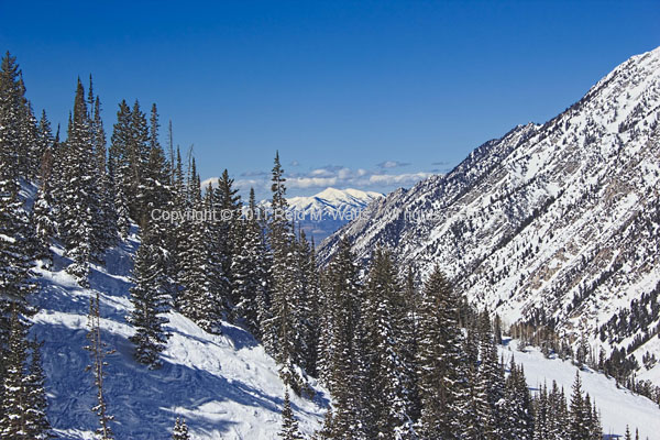 Little Cottonwood Canyon - Snowbird, Utah