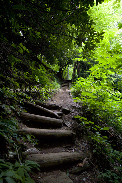 Pathway to Skinny Dip Falls