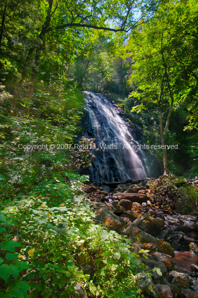 Enchanted Forest - Crabtree Falls, NC