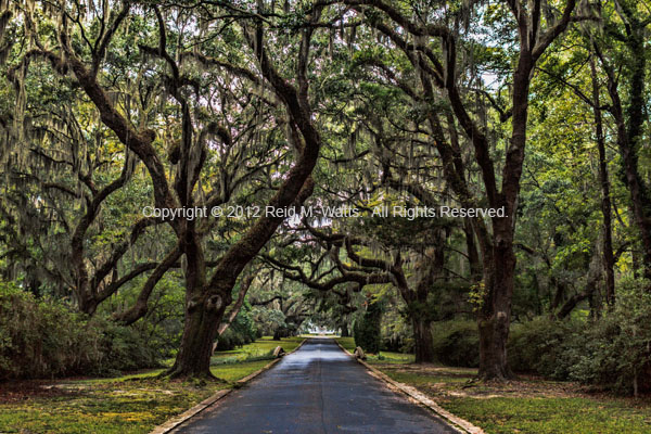 Magnificent Entry - Litchfield, SC