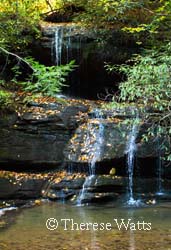 On The Way To Bradley Falls