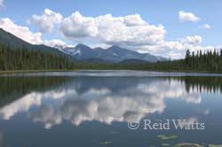 Cloud Mirror - Scenic Vista from McCarthy Road