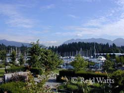 Vancouver Waterfront