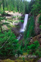 Brandywine Falls - Brandywine Falls Provincial Park - British Columbia, Canada