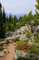 Alpine Walk - Blackcomb, BC, Canada