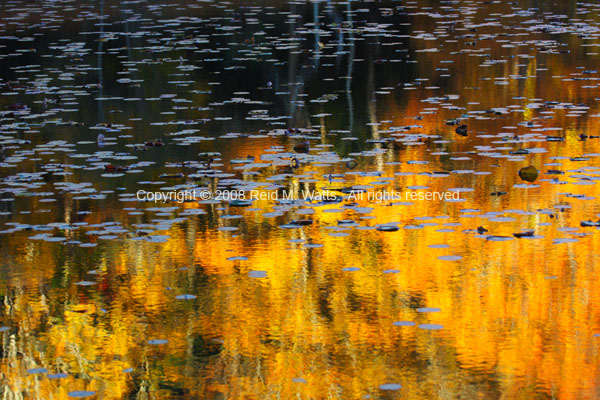 Autumn Reflecting Pond