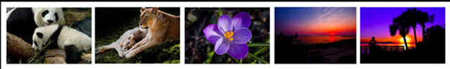 Click on any picture in ths banner to order.